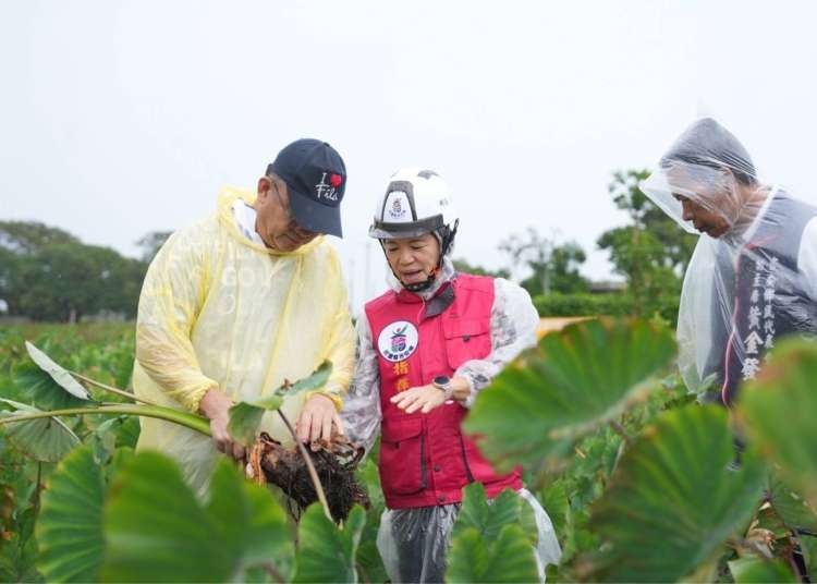 縣長候選人游淑貞擘畫花蓮健康農業新願景