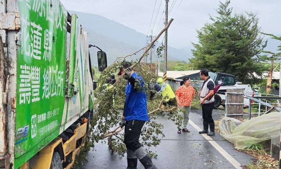 薔琵強風猛烈 壽豐移除倒伏路樹　